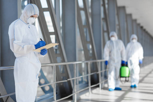 Best Environmental Consulting for Mold Prevention  in Oro Valley, AZ