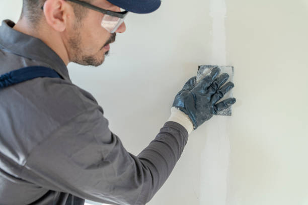 Best Mold Prevention Services  in Oro Valley, AZ